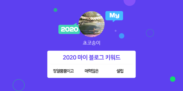  [2020 마이블로그 리포트] 한 눈에 보는 올해 내 블로그 데이터!