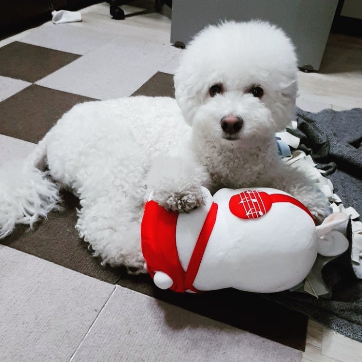 네이티브 스피커는 일정을 "앞당기다" "앞당겨지다"를 영어로 어떻게 말할까? 네이티브 스피커는 일정을 "앞당기다" "앞당겨지다"를 영어로 어떻게 말할까?