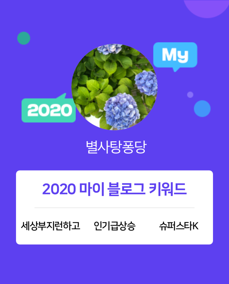  [2020 마이블로그 리포트] 한 눈에 보는 올해 내 블로그 데이터!