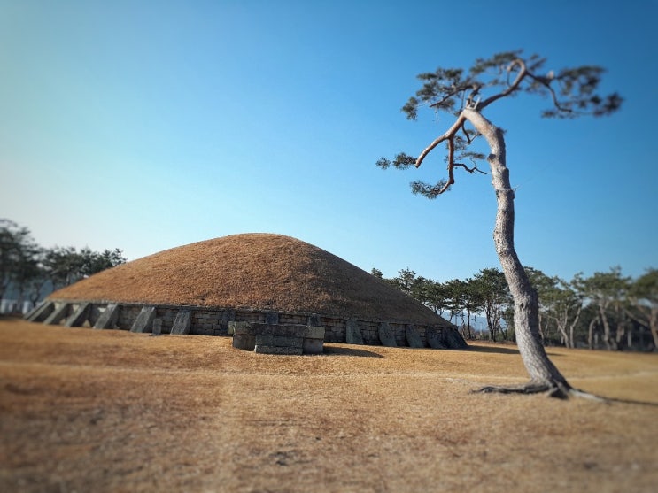 [경주 여행] 신기한 피리 만파식적의 전설을 담고 있는 신문왕릉