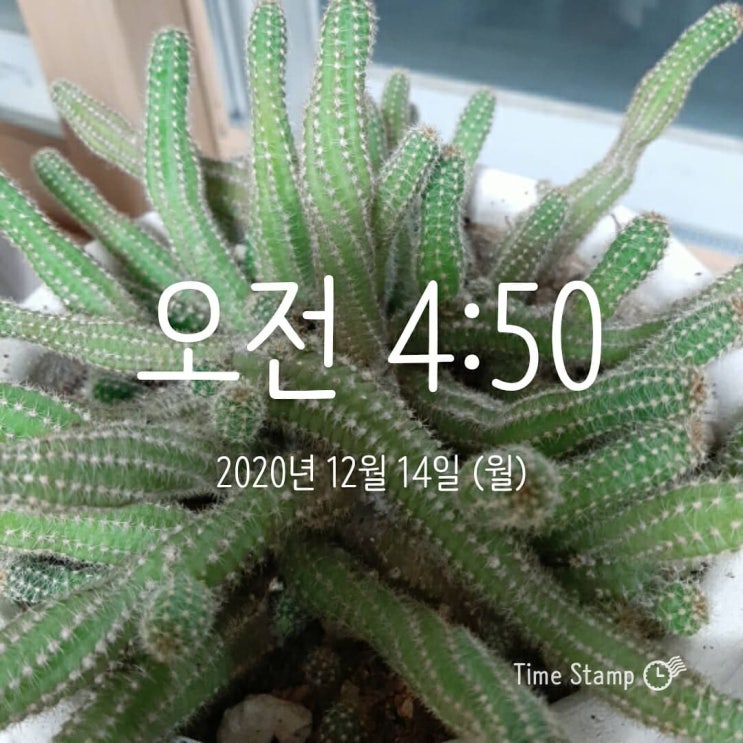  새벽 기상 12-14
