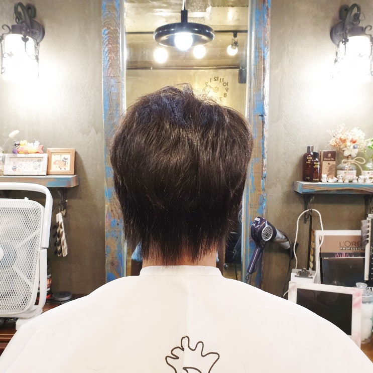  남자 울프컷 머리 짧아도 할 수 있어요