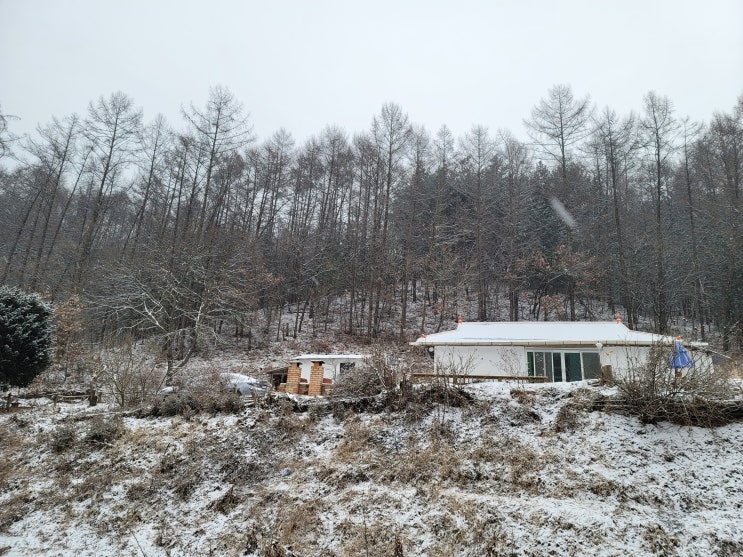  블루문인베스트와 함께 시작하는 특수경매의 세계