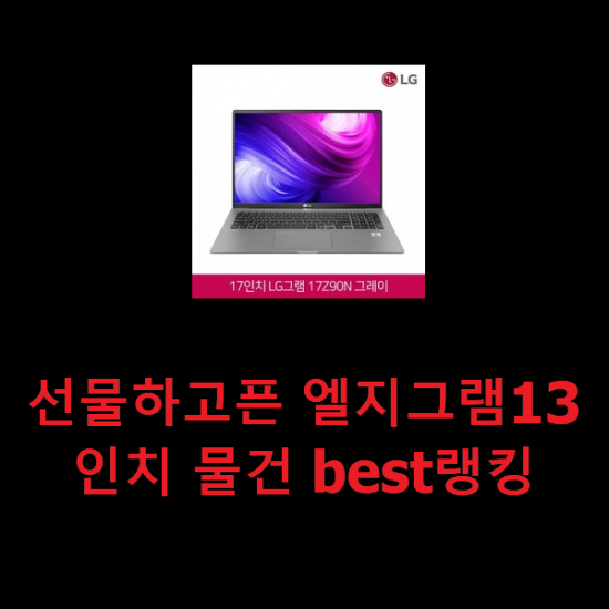 선물하고픈 엘지그램13인치 물건 best랭킹