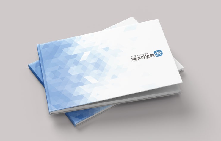  제주도 단독주택 건설분양 카다로그 제작, 평면도, 지도, 브랜드 디자인