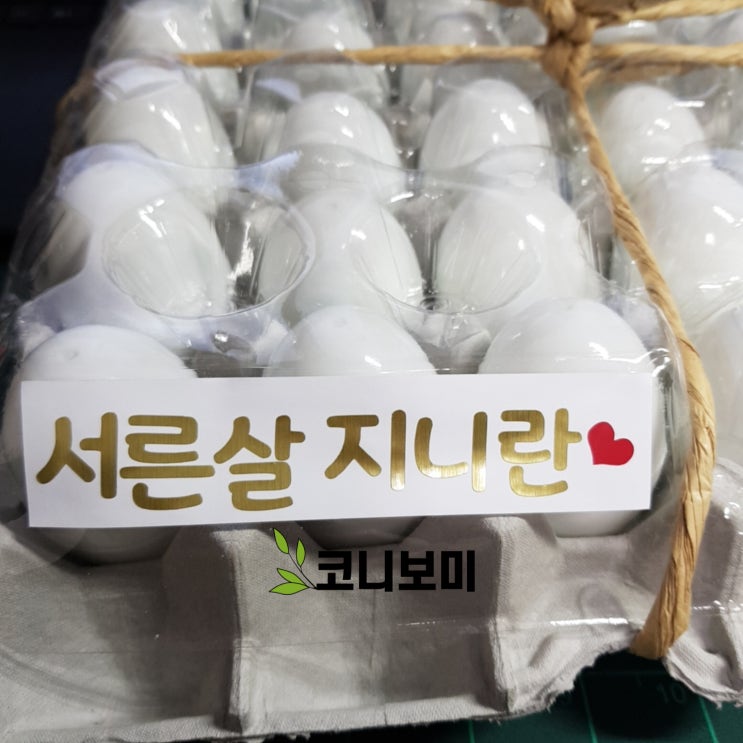 30살 먹은 동생 생일 놀려먹기(feat.계란한판) 30살 먹은 동생 생일 놀려먹기(feat.계란한판)