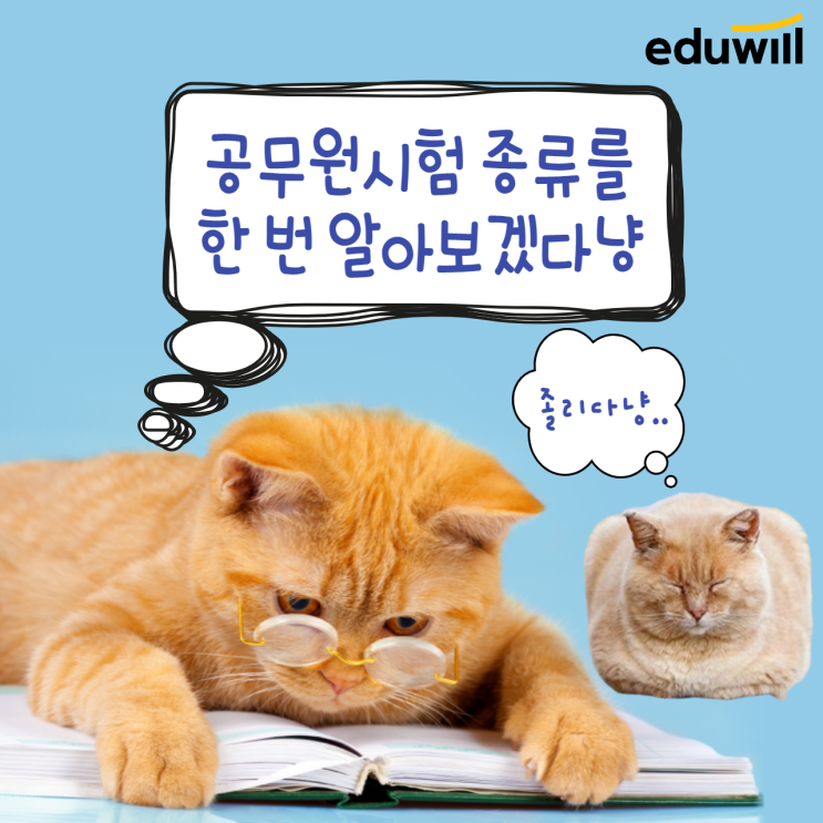 [양천구공무원학원] 공무원시험 종류에 대해 한 번 알아보겠다냥!