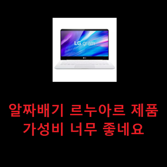 알짜배기 르누아르 제품 가성비 너무 좋네요 알짜배기 르누아르 제품 가성비 너무 좋네요