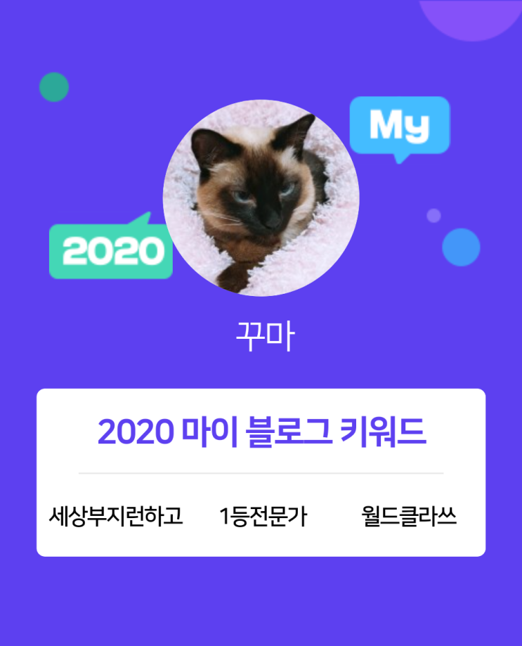  [2020 마이블로그 리포트] 한 눈에 보는 올해 내 블로그 데이터!