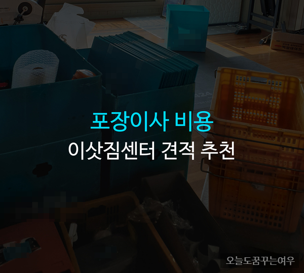 포장이사 비용 이삿짐센터 견적 추천 서울 인천 김포 일산 파주 양주 구리