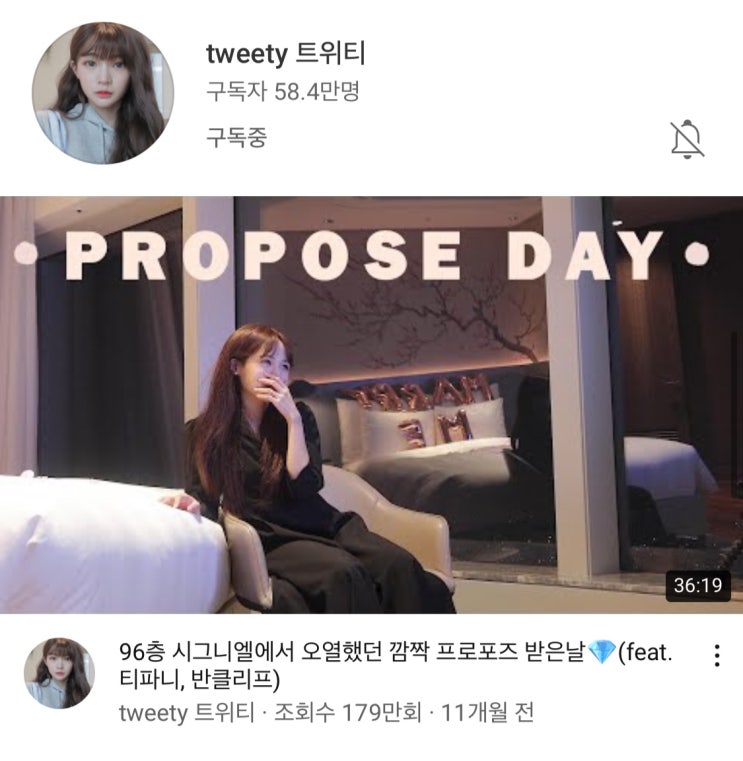  2년 이상 봐온 일상 Vlog 유튜버 추천 / 트위티 시드니 무파사 유트루