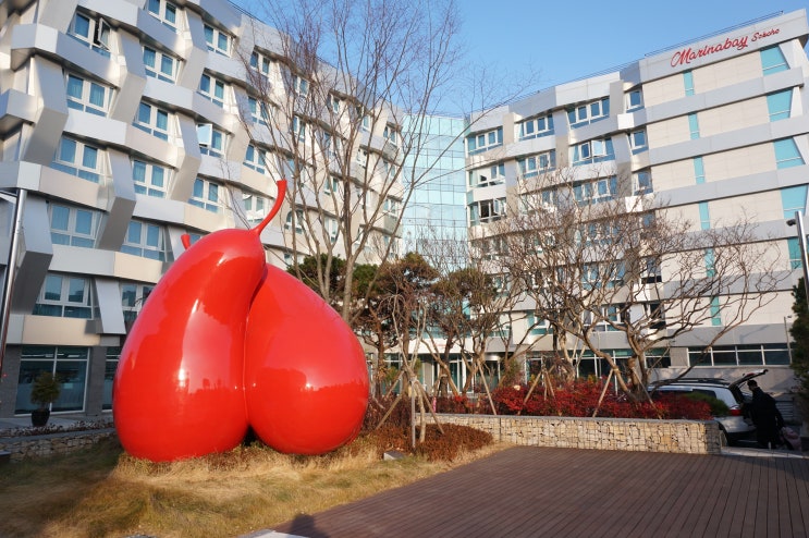  속초 마리나베이 호텔 가성비 좋은 신축 호텔 후기