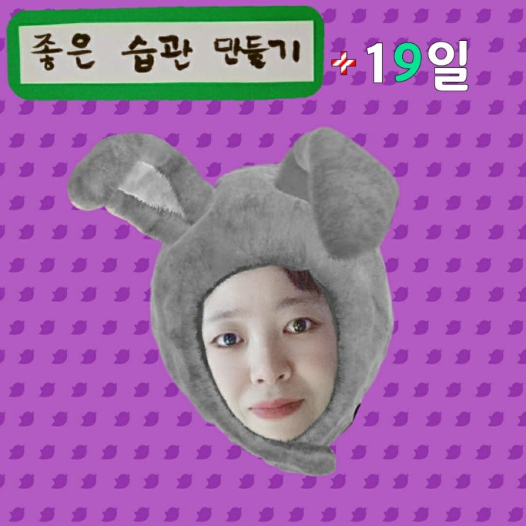  좋은습관 나쁜습관 19일차