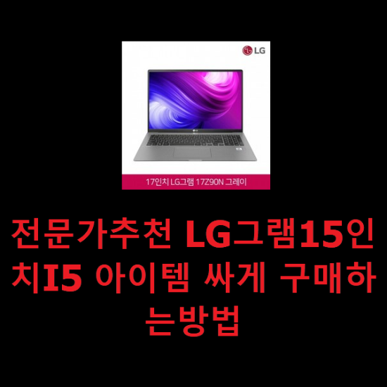 전문가추천 LG그램15인치I5 아이템 싸게 구매하는방법