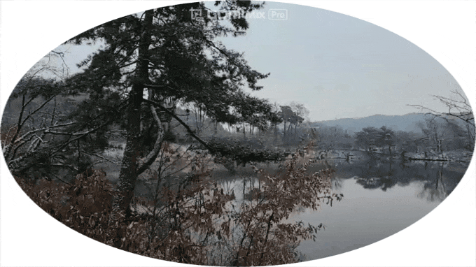  용인가볼만한곳 호암호수, 호암저수지에서 첫눈내린날아침  산책