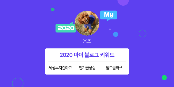  [2020 마이블로그 리포트] 한 눈에 보는 올해 내 블로그 데이터!
