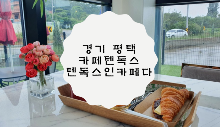  [경기 평택] 텐독스인카페다