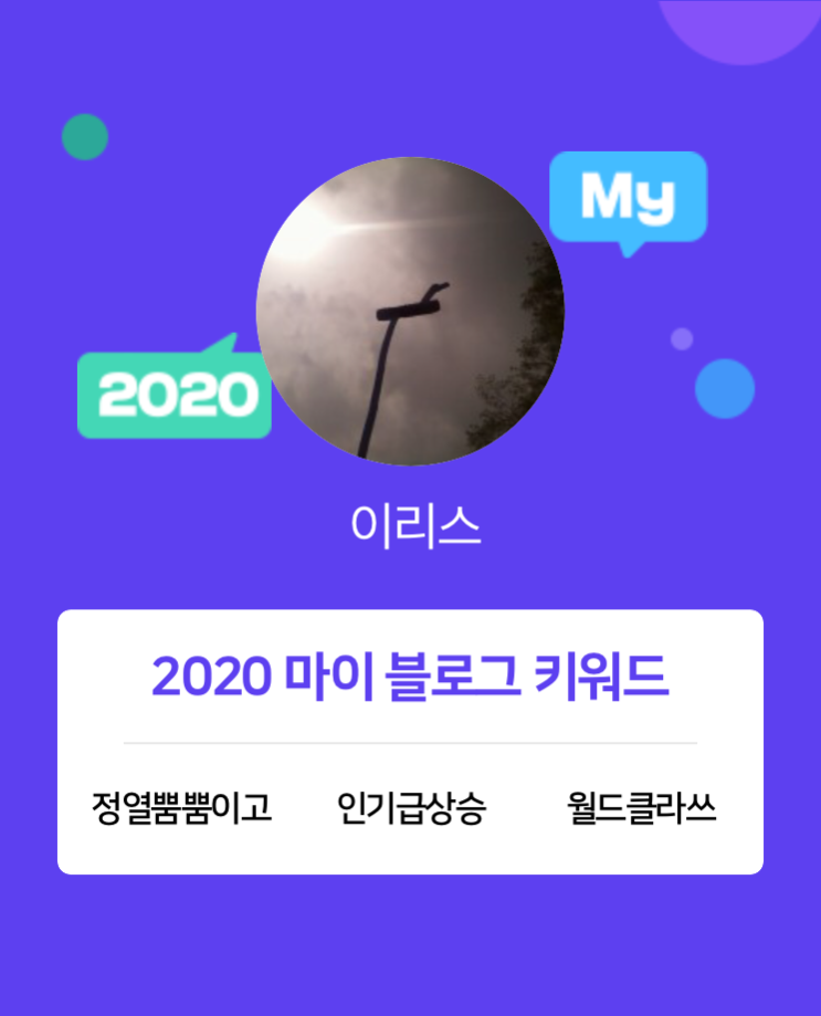  [2020 마이블로그 리포트] 한 눈에 보는 올해 내 블로그 데이터!