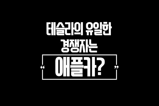  테슬라의 유일한 경쟁자는 애플카?