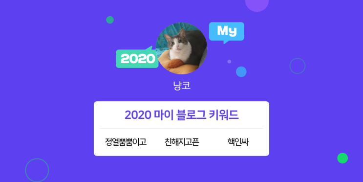 [2020 마이블로그 리포트] 한 눈에 보는 올해 내 블로그 데이터!