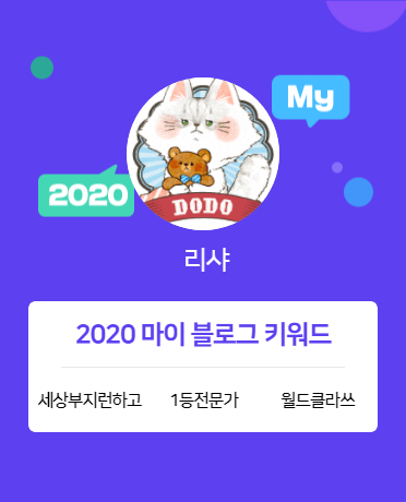  [2020 마이블로그 리포트] 한 눈에 보는 올해 내 블로그 데이터!