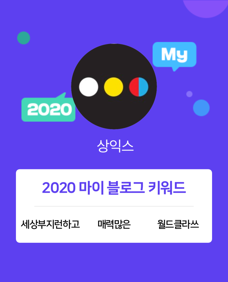  [2020 마이블로그 리포트] 한 눈에 보는 올해 내 블로그 데이터!+N페이 1천원이벤트
