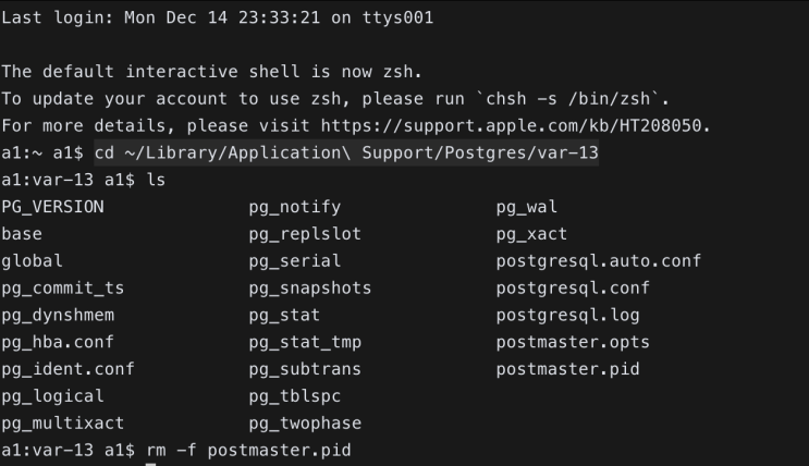 Postgres The data directory contains an old postmaster.pid file 해결