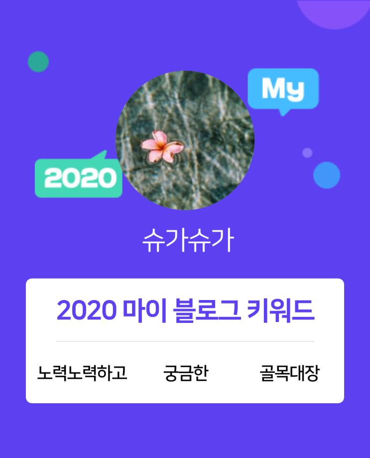  [2020 마이블로그 리포트] 한 눈에 보는 올해 내 블로그 데이터!