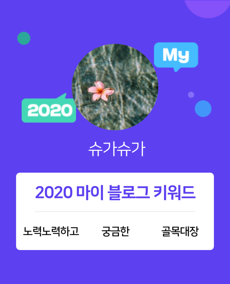 [2020 마이블로그 리포트] 한 눈에 보는 올해 내 블로그 데이터!