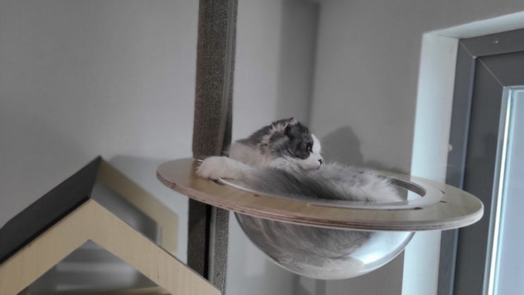  오브바이포 아크릴 해먹 설치기