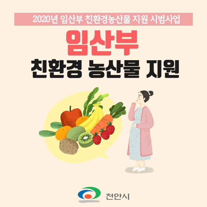  [임산부 혜택] 천안시 임산부 친환경 농산물 지원사업 해피에코 신청방법/주문방법 먼저! (12개월간 48만원 상당의 친환경 농산물 구매 지원)