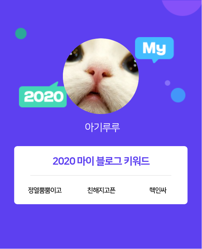  [2020 마이블로그 리포트] 한 눈에 보는 올해 내 블로그 데이터!
