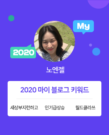  [2020 마이블로그 리포트] 한 눈에 보는 올해 내 블로그 데이터!