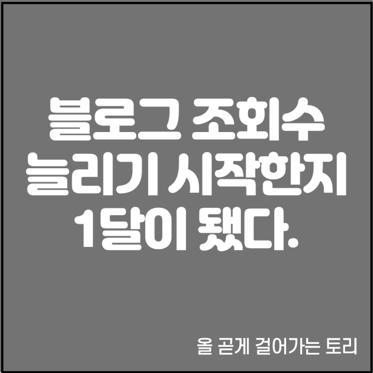  블로그 조회수 방문자 수 늘리기로 결심한지 1달이 됐다.