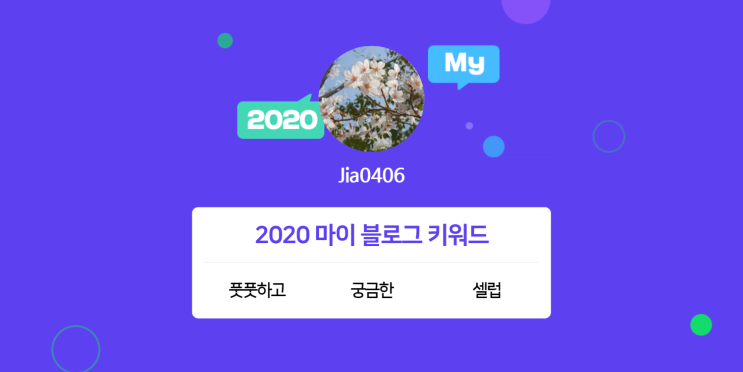 [2020 마이블로그 리포트] 한 눈에 보는 올해 내 블로그 데이터!