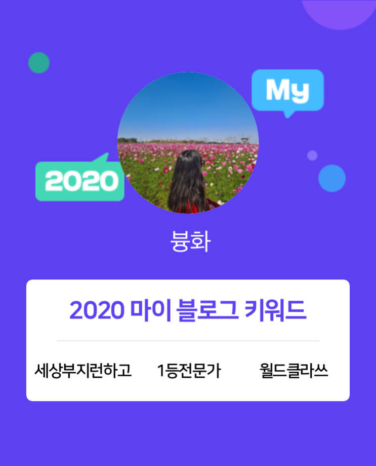  [2020 마이블로그 리포트] 한 눈에 보는 올해 내 블로그 데이터!