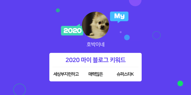 [2020 마이블로그 리포트] 한 눈에 보는 올해 내 블로그 데이터!