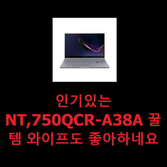 인기있는 NT,750QCR-A38A 꿀템 와이프도 좋아하네요