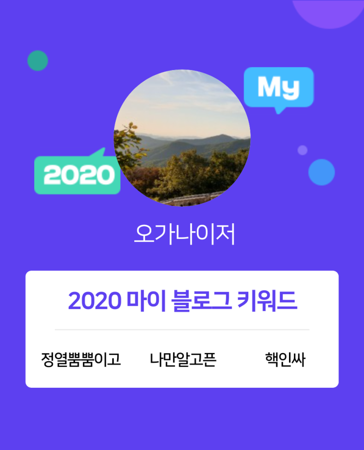  [2020 마이블로그 리포트] 한 눈에 보는 올해 내 블로그 데이터!