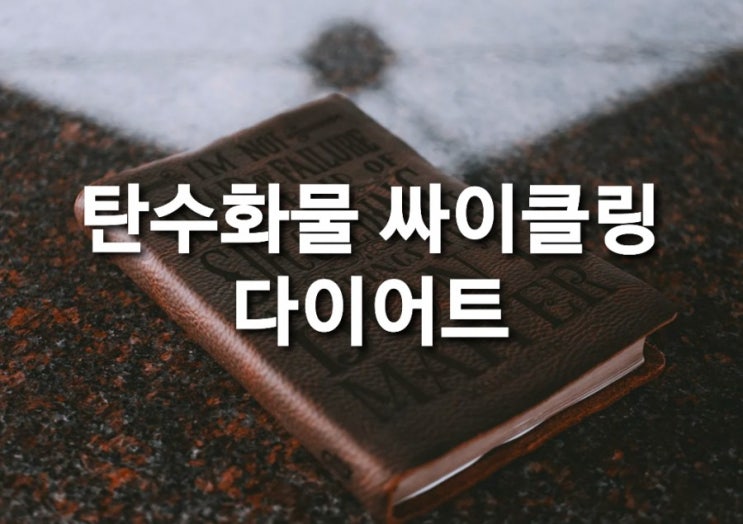  탄수화물 싸이클링 다이어트