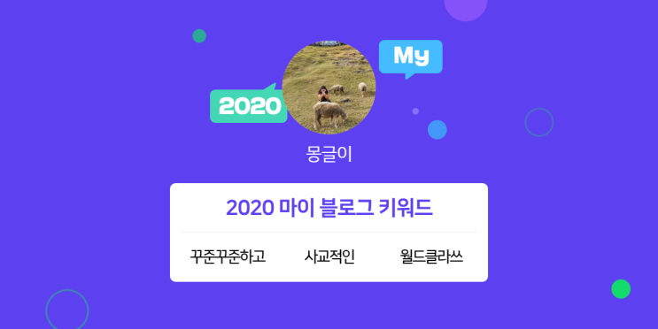  [2020 마이블로그 리포트] 한 눈에 보는 올해 내 블로그 데이터!