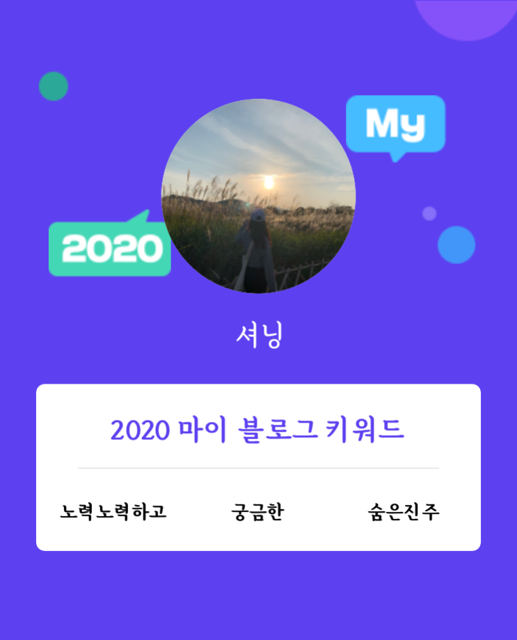 [2020 마이블로그 리포트] 한 눈에 보는 올해 내 블로그 데이터!