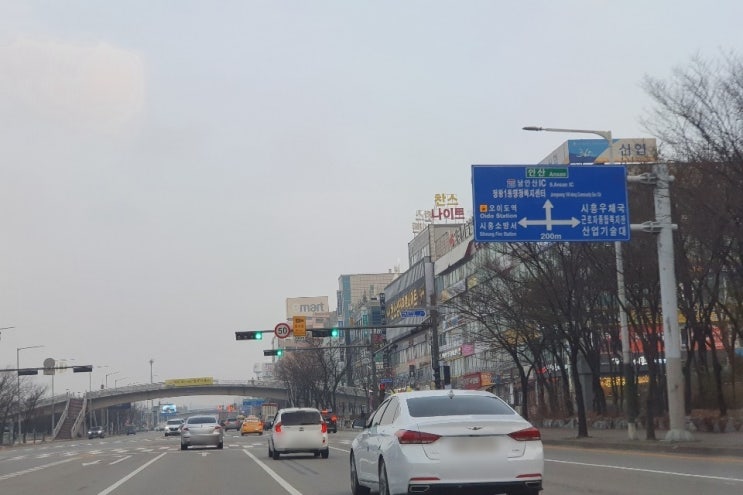  시흥, 배곧 운전연수 초보 탈출 장롱면허 바이바이
