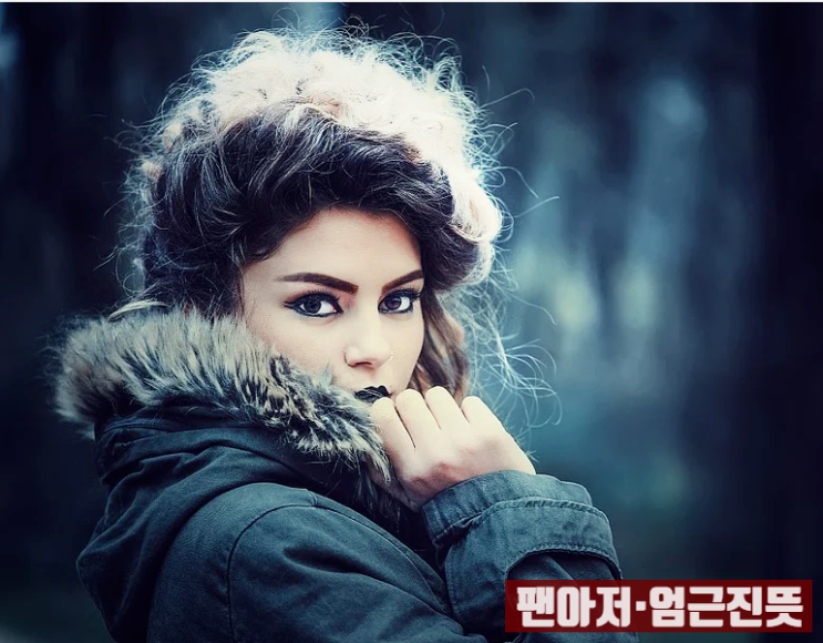  팬아저 엄근진뜻