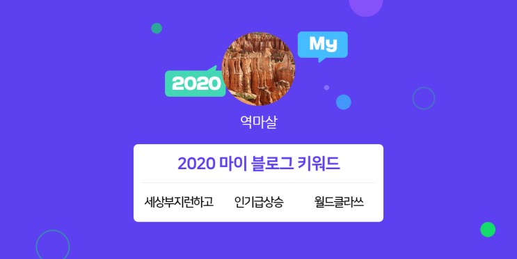  [2020 마이블로그 리포트] 한 눈에 보는 올해 내 블로그 데이터!