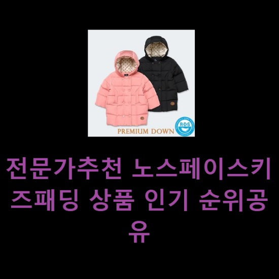  전문가추천 노스페이스키즈패딩 상품 인기 순위공유