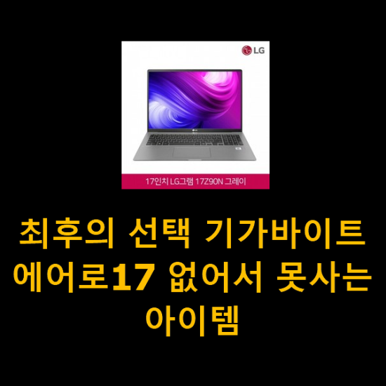 최후의 선택 기가바이트에어로17 없어서 못사는 아이템 최후의 선택 기가바이트에어로17 없어서 못사는 아이템