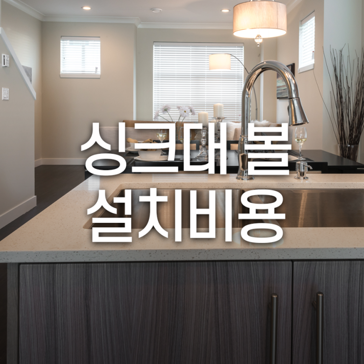  싱크대볼 교체 설치, 어느정도 비용이 들까요?