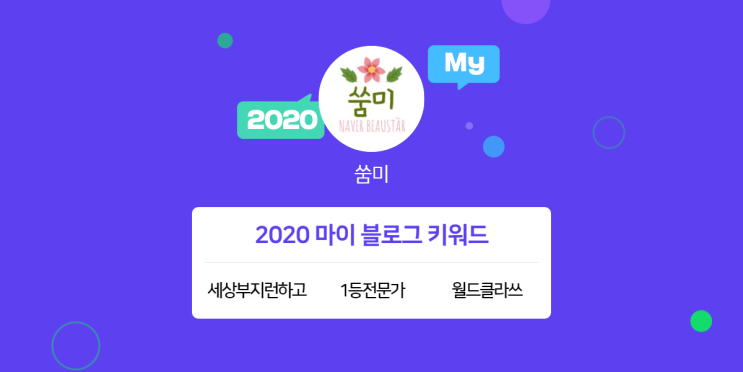  [2020 마이블로그 리포트] 한 눈에 보는 올해 내 블로그 데이터!