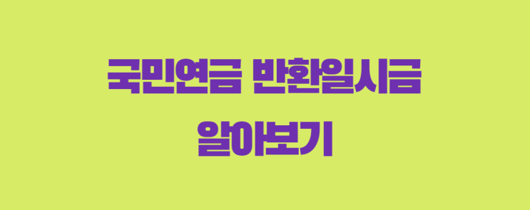  국민연금 반환일시금 알아보고 반납금 납부 확인